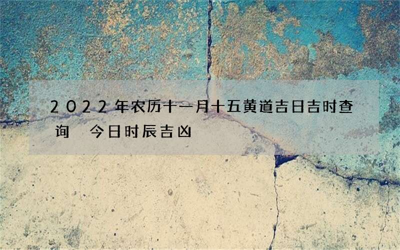 2022年农历十一月十五黄道吉日吉时查询 今日时辰吉凶